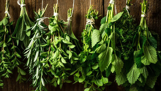 Bienfaits-des-plantes-médicinales-La-nature-à-votre-service NICE ORGANIC herboristerie bio
