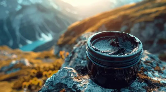 Le-Shilajit-Bienfaits-Propriétés-et-Comment-l-Utiliser-pour-Booster-votre-Santé NICE ORGANIC herboristerie bio