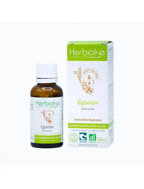 Églantier Macérât de jeunes pousses Sans Alcool Bio - Immunité et Respiration 30 ml - Herbiolys NICE ORGANIC herboristerie bio