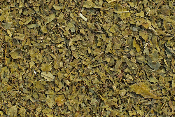 feuilles alchémille tisane bio