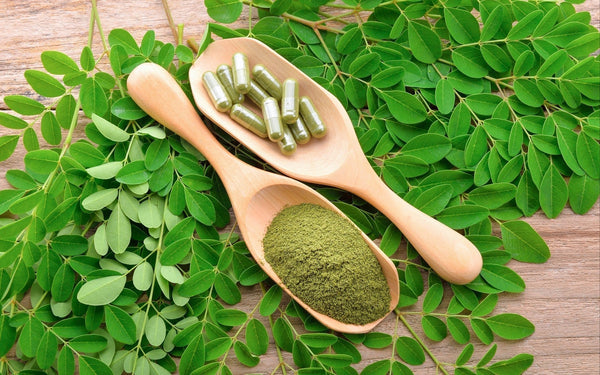 Le Moringa : Un Superaliment aux Mille Vertus, Issu d’une Filière Bio et Durable