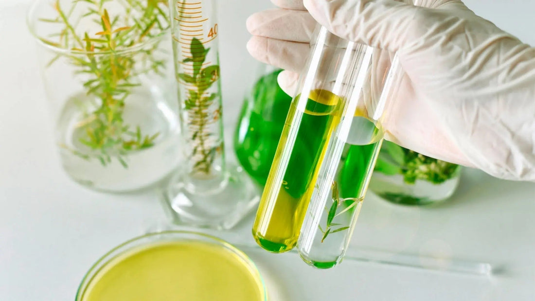 Extraits-Standardisés-Principe-Avantages-et-Rapport-25-1-pour-Optimiser-l-Efficacité-des-Compléments-Alimentaires-et-Phytothérapie NICE ORGANIC herboristerie bio