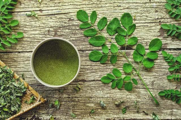 Le Moringa : un allié naturel pour la minceur et la vitalité