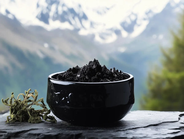 Le Shilajit : L’incroyable Super-Aliment qui Révolutionne la Santé