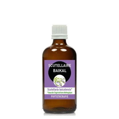 SCUTELLAIRE BAIKAL* 100ML macération de plante AVEC ALCOOL - HUANG QIN Herboristerie bio du vieux Nice