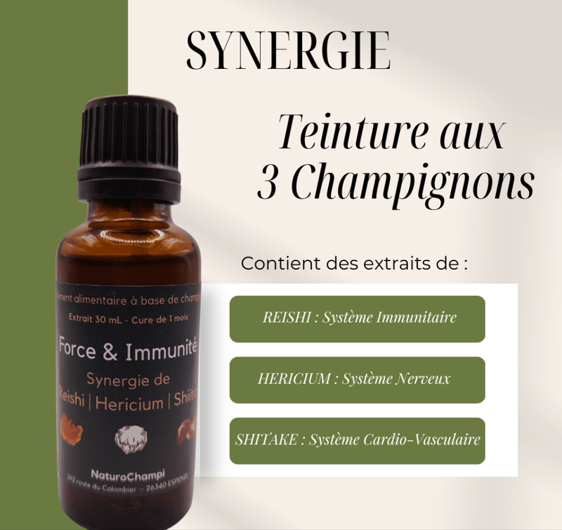 Synergie de 3 champignons médicinaux | Extrait liquide Reishi Hericium Shiitake | Complément alimentaire à base de champignon cultivé en France |