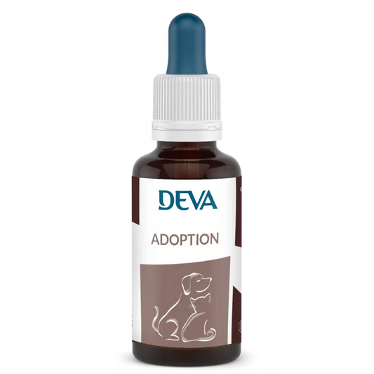 Adoption animaux - DEVA Herboristerie bio du vieux Nice