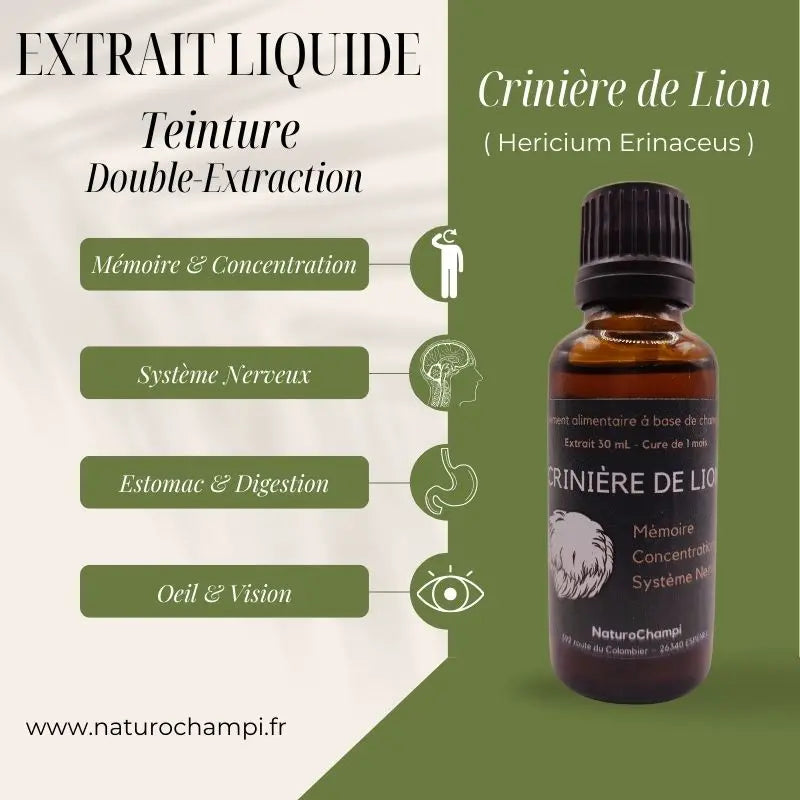 Crinière de Lion. Extrait liquide Hericium Erinaceus’  Complément alimentaire à base de champignon cultivé en France NICE ORGANIC herboristerie bio