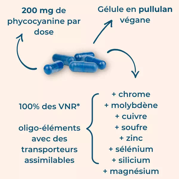 Phyco éléments boîte 60 gélules