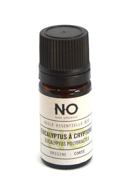 Huile essentielle EUCALYPTUS CRYPTONE biologique Nice organic herboristerie bio