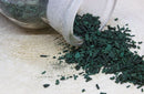 SPIRULINE paillette FRANCE