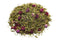 Tisane BONHEUR DANS TON COEUR Nice organic herboristerie bio