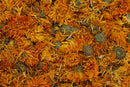 tisane calendula officinalis souci bio