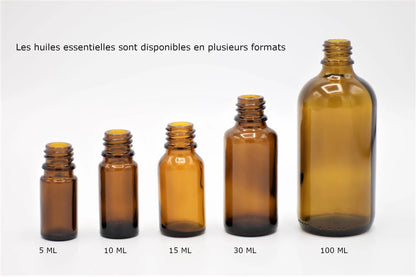 Huile essentielle TEA TREE biologique NICE ORGANIC herboristerie bio