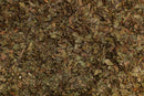 tisane noyer feuilles bio