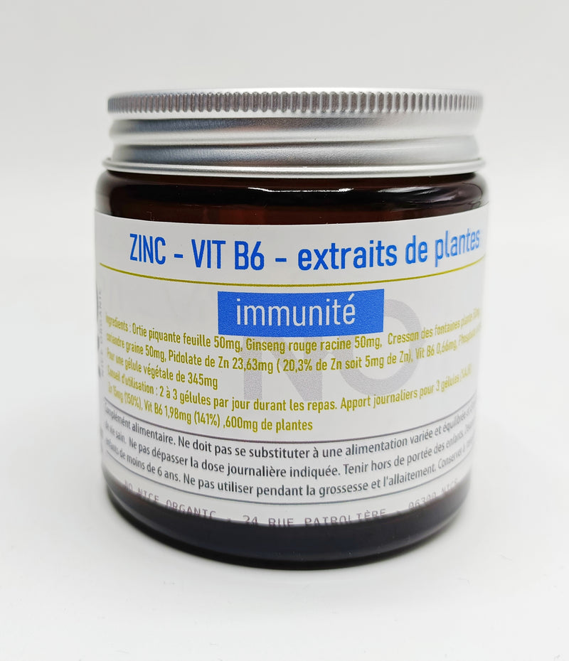 ZINC VITAMINE B6 - extrait de plantes